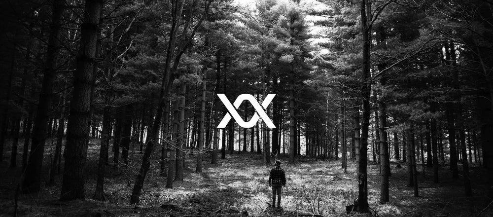 Newsletter Picture DIXXSON Logo