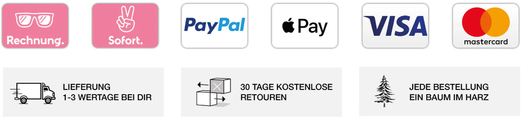Zahlungoptionen Rechnung Sofort Paypal applepay VISA mastercard
